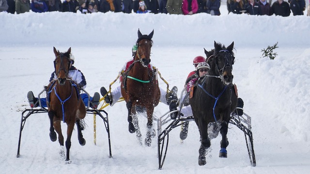 上的竞争犹 上的竞争犹