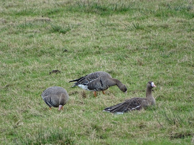 其上市售价 其上市售价