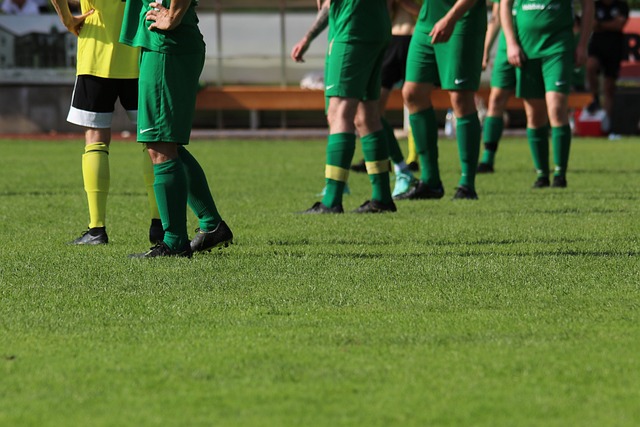 缔约方会议 缔约方会议