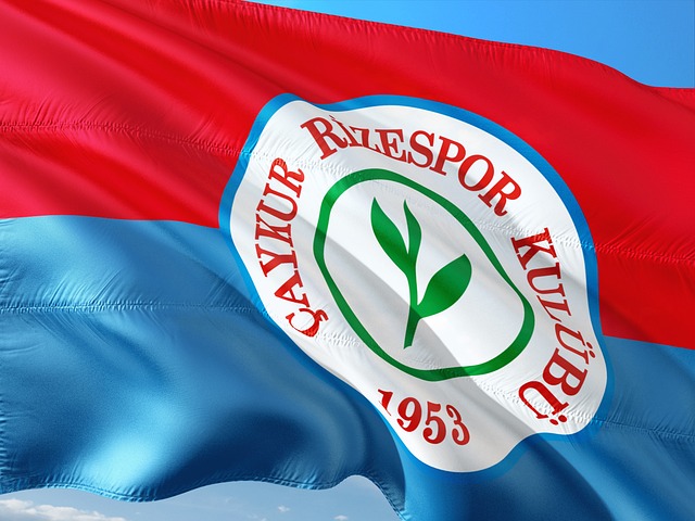 等平台进行 等平台进行