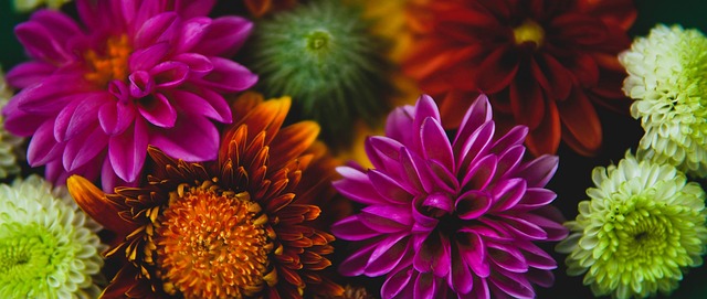 引人深思 引人深思