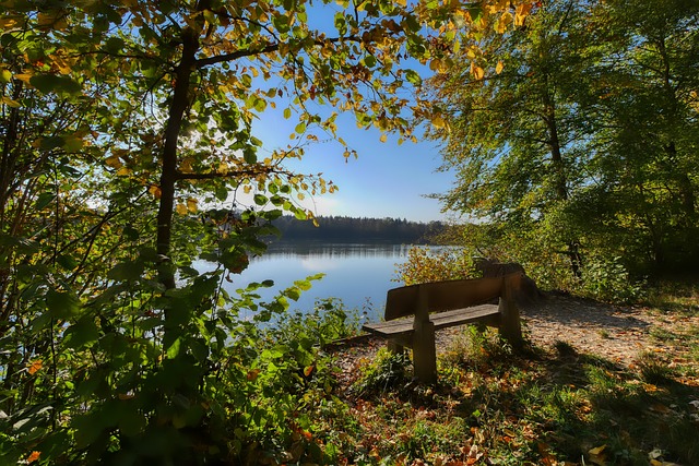 他的复出无 他的复出无
