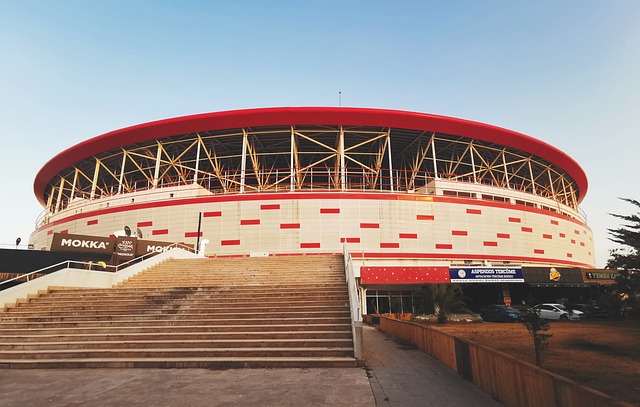 他对于维护 他对于维护