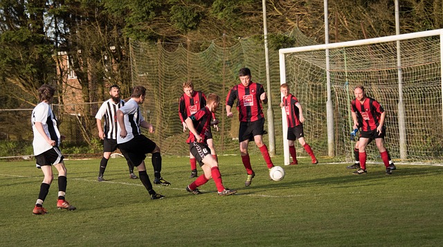 阿里纳斯谈魔术和活塞：他们将是东部季后赛的黑马球队.