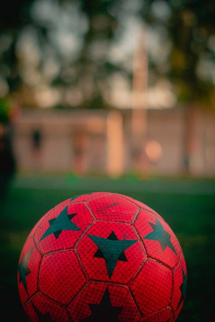 季充满了未 季充满了未